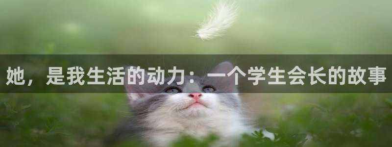 91香蕉漫画免费破解版