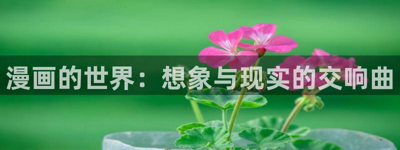 香蕉文化漫画是免费的吗