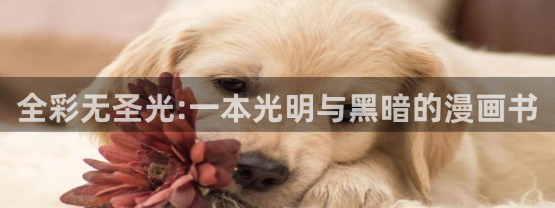 香蕉文化小说漫画