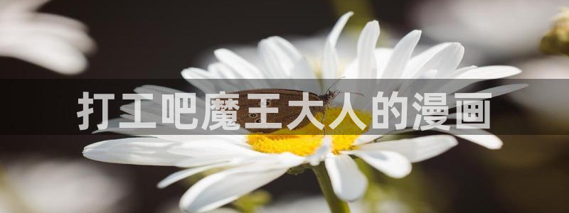 香蕉文化漫画在线观看网站