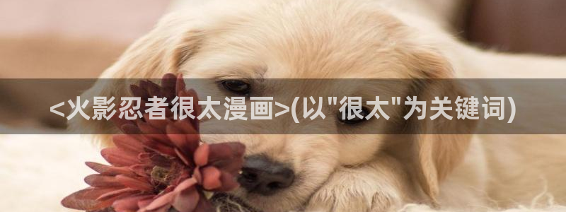 香蕉漫画在线观看页面