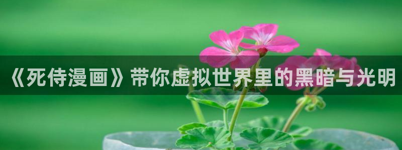 羞羞漫画香蕉漫画