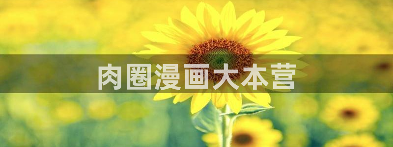 香蕉漫画漫画书下拉式：肉圈漫画大本营